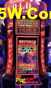 Experiência VIP Pugbet