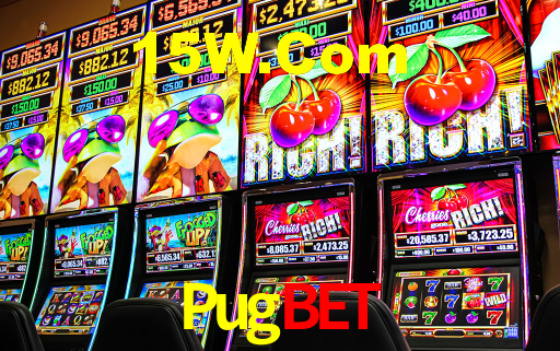 Premium Interface Pugbet
